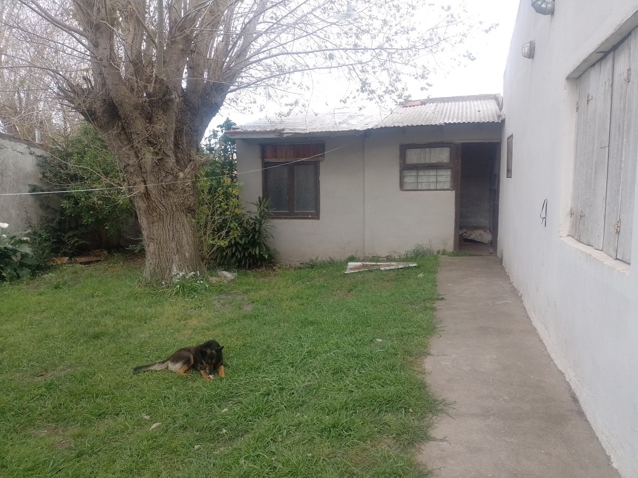 **CASA 3 AMBIENTES EN SAN JACINTO** 