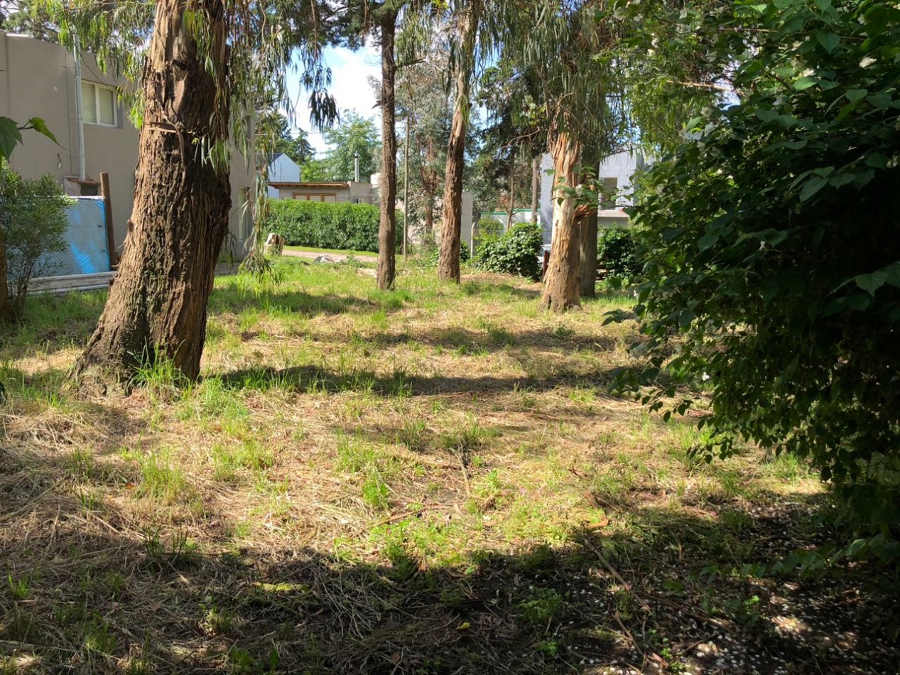 **TERRENO EN GRAN UBICACION EN BOSQUE PERALTA RAMOS**