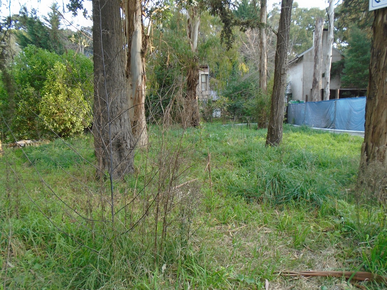 **TERRENO EN GRAN UBICACION EN BOSQUE PERALTA RAMOS**