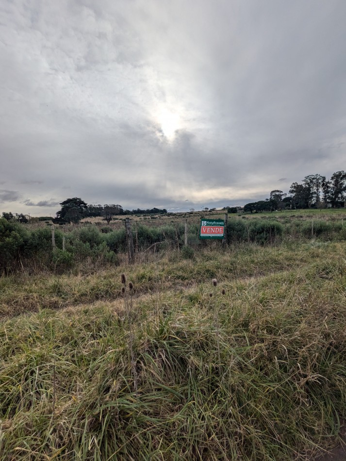**VENTA DE DOS TERRENOS JUNTOS EN LOMAS DE SAN PATRICIO**