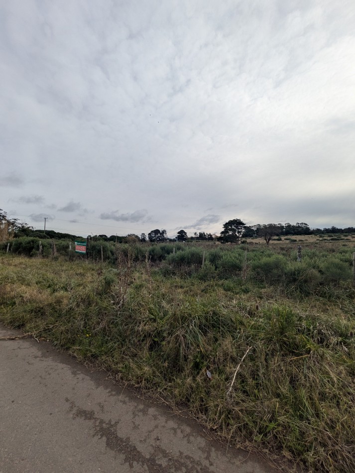 **VENTA DE DOS TERRENOS JUNTOS EN LOMAS DE SAN PATRICIO**