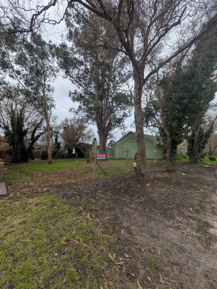 **¡SE VENDEN EN CONJUNTO O SEPARADOS! DOS TERRENOS BALDIOS EN VENTA EN COLINAS DE PERALTA RAMOS**