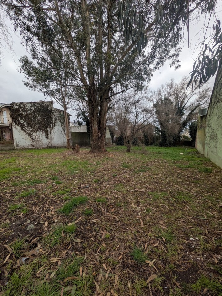 **¡SE VENDEN EN CONJUNTO O SEPARADOS! DOS TERRENOS BALDIOS EN VENTA EN COLINAS DE PERALTA RAMOS**