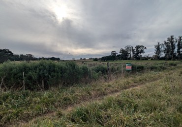 **VENTA DE DOS TERRENOS JUNTOS EN LOMAS DE SAN PATRICIO**